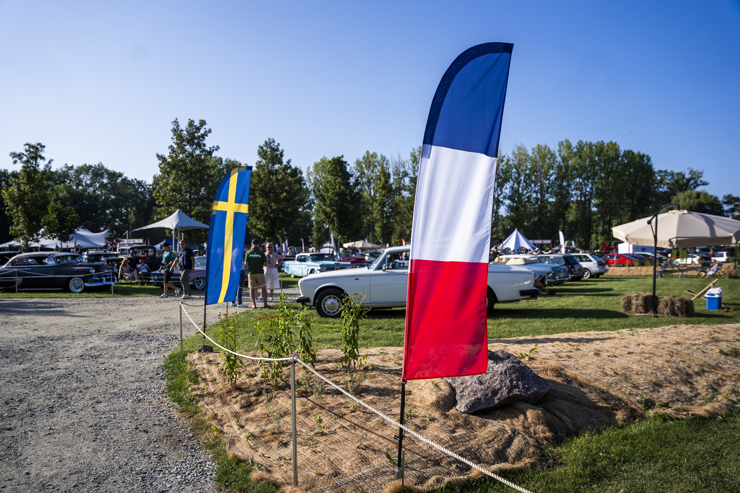 nowyux zdjecia institutions