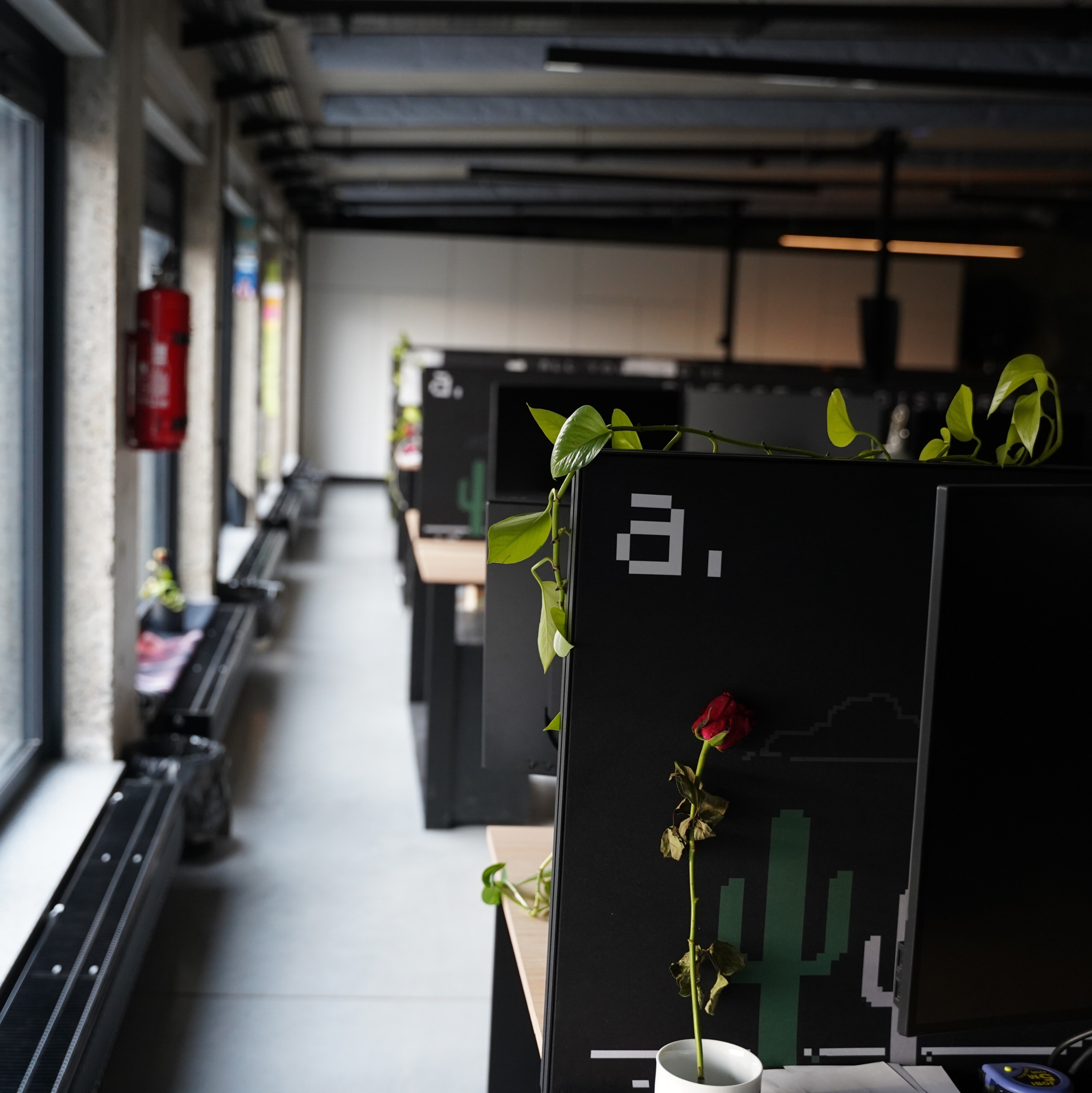 Rząd czarnych stanowisk biurowych z pikselową grafiką i logotypem „a.”, ozdobionych roślinami i różami, w nowoczesnym open space z dużymi oknami i industrialnym sufitem. 
