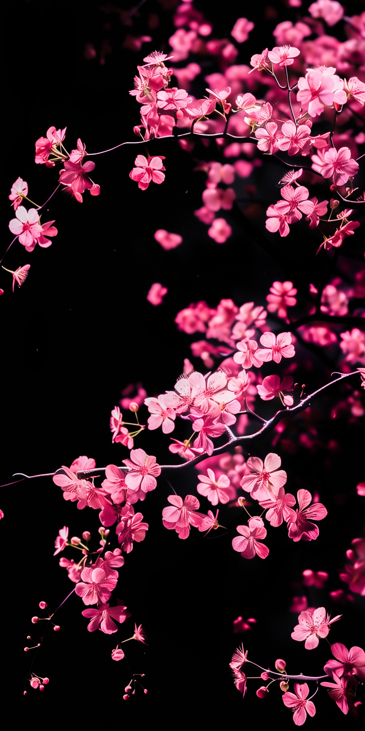 landing page black week